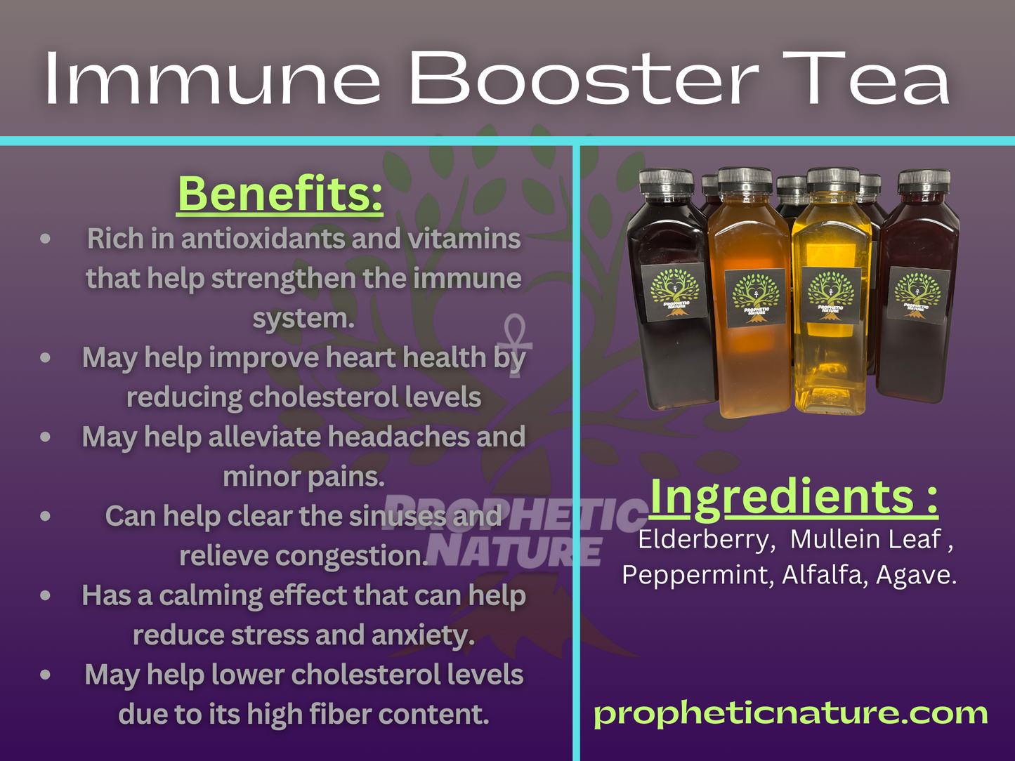 Immune Booster x 5 Pack